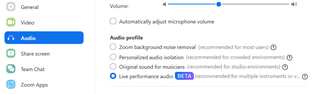 Zoom settings for music lessons