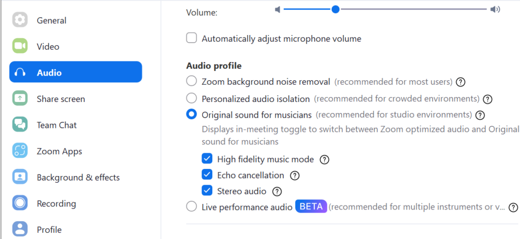 Zoom settings for music lessons 2